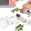 2Pièces Bloc Présentoir Clair Support Bijoux Mariage Décor 7