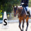 Training Cones Pack Of 4 Lightweight Stackable Cones For Horse Training Equipment, Durable Plastic 4