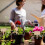 40St Bamboe Label Voor Plantentuin Duurzaam En 8