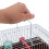 Cage Portable Pour Petits Oiseaux Abs+fer Café Adaptée Voyages 8