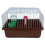 Cage Portable Pour Petits Oiseaux Abs+fer Café Adaptée Voyages 11