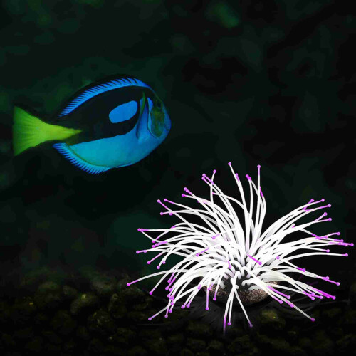 Künstliche Seeanemone aus Silikon mit leuchtendem 1