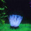 Künstliche Seeanemone aus Silikon mit leuchtendem 5