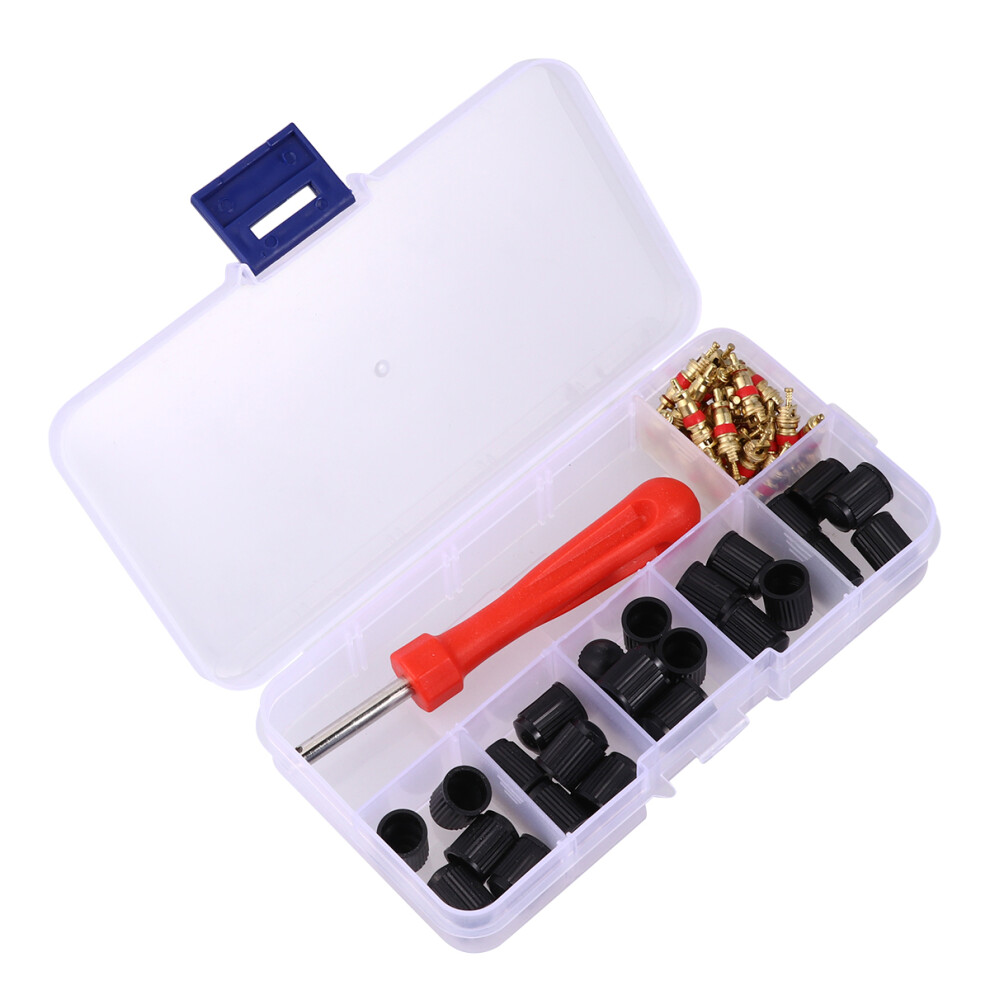 Photos - Car Service Station Equipment 61 Pcs Auto Repairing Valve Core Remover Tire Tool Motor Mechanic Kits