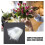 Raindrops  50 Pcs Clear For Bouquets Flower Packaging Bag Shopping 6