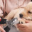 Professioneller Nagelknipser für Hunde mit 12
