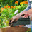 Compacte Groene Plastic Grondschep Tuinieren Bladplant Graven 9