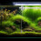 2 Pcs Aquarium Light Hanger Fish Tank Lamp Holder 4