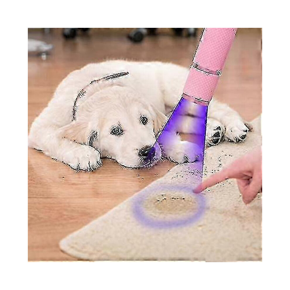 3pcs Led Flashlight, Small Glow Flashlights with 9 Led Lights, Port...