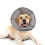 Hundekegelhalsband, 6