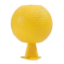 Fruit Fly Traps Sticky Traps Citrus Shaped Indoor Outdoor Model A4