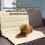 Wärmebett für Katzen, Haustier-Sofa-Pad mit 10