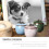 sealed pet cremation casket ceramic ashes holder 10