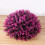 Decorative Ornament Polyethylene 1 Set For Home Office Pink 10