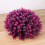 Decorative Ornament Polyethylene 1 Set For Home Office Pink 5