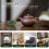 1 Set 6 Pcs Porcelain Cup Fish Cup Ceramics 11
