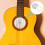 Guitar Humidifier Instrument Humidifiers For Musical Instruments 11