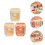 3pcs pen holder cartoon pig multi-grid organizer 5
