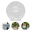Kunststoff Lampenschutz Für Gartenlampen Transparent, 4