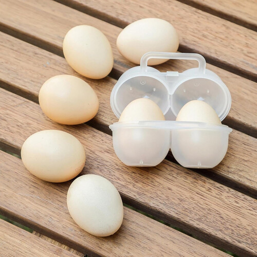 Eggs Holder 2-Grid Storage Container With Fixed Handle, Outdoor Camping Carriers 2