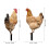 2pcs acrylic chicken yard stakes for lawn decoration 2