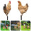 2pcs acrylic chicken yard stakes for lawn decoration 11