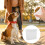 Dog Treat Bag Rectangular Design For Outdoor Walks White 1pack 11