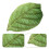 Cozy Leaf Shaped Pillow Green Cloth For Home Sofa Decoration 4
