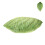Cozy Leaf Shaped Pillow Green Cloth For Home Sofa Decoration 11