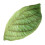 Cozy Leaf Shaped Pillow Green Cloth For Home Sofa Decoration 10