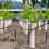 50Pièces Piquets De D'irrigation En ABS Noir Pour Jardinage 5