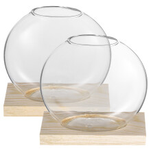 2 Sets Clear Glass Vase With Base For Small Plants And Home Decor