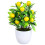 Pot De Artificielle Mini Citron Décor Écologique 7