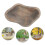 mangiatore per api in legno con stazione abbeveraggio 11