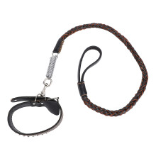 Hundehalsband- und Leinenset aus PU-Leder mit