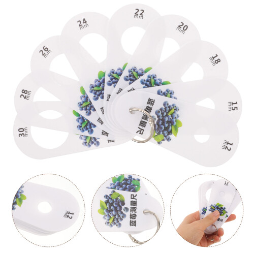 Fishing Scale Ruler Blueberry Diameter Gauge Multi 1 Set 2