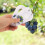 Fishing Scale Ruler Blueberry Diameter Gauge Multi 1 Set 9