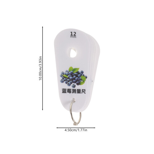 Fishing Scale Ruler Blueberry Diameter Gauge Multi 1 Set 1