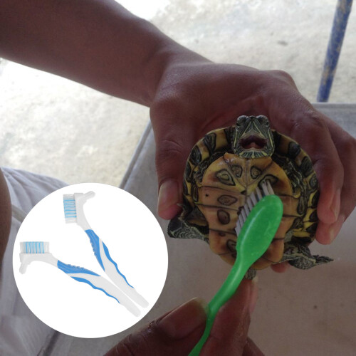 Mlins  2 Pcs Double-Side Turtle Clean Shell Cleaning Brush 1