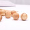 5pcs physics lamp holder , STEM electrical learning toy 6
