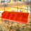 Mountable Pig Feeder Multi-Compartment Livestock Trough 4