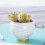 20 pcs thickened bamboo t-shaped plant labels round style 3