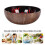 coconut bowl food container coconut shell storage holder 3