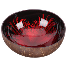 coconut bowl food container coconut shell storage holder