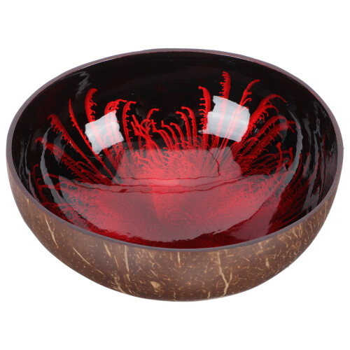 coconut bowl food container coconut shell storage holder