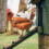 Chicken Saddle Vest Poultry Hen Apron 5