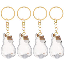 4pcs pet hair memorial keychain with transparent keepsake box
