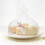 clear glass cake display dome for dessert decoration 6