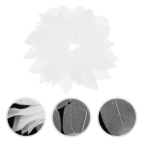 36pcs dried pressed skeleton leaves 2