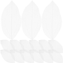 36pcs dried pressed skeleton leaves